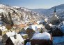 big_14122011_yahimov2