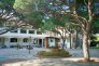 dthumb_61_22450_500