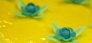 043_Tossa_HQ
