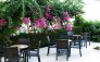 Flamingo_Beach_Hotel_4