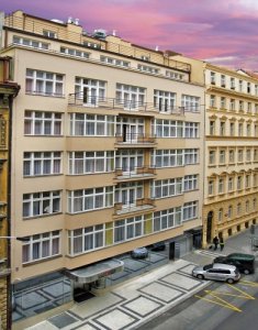 big_0190229001215071961_amarilis1_a
