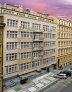 big_0190229001215071961_amarilis1_a