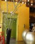 big_0467877001215432165_9recepce