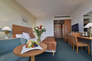 Chestnut_room_4